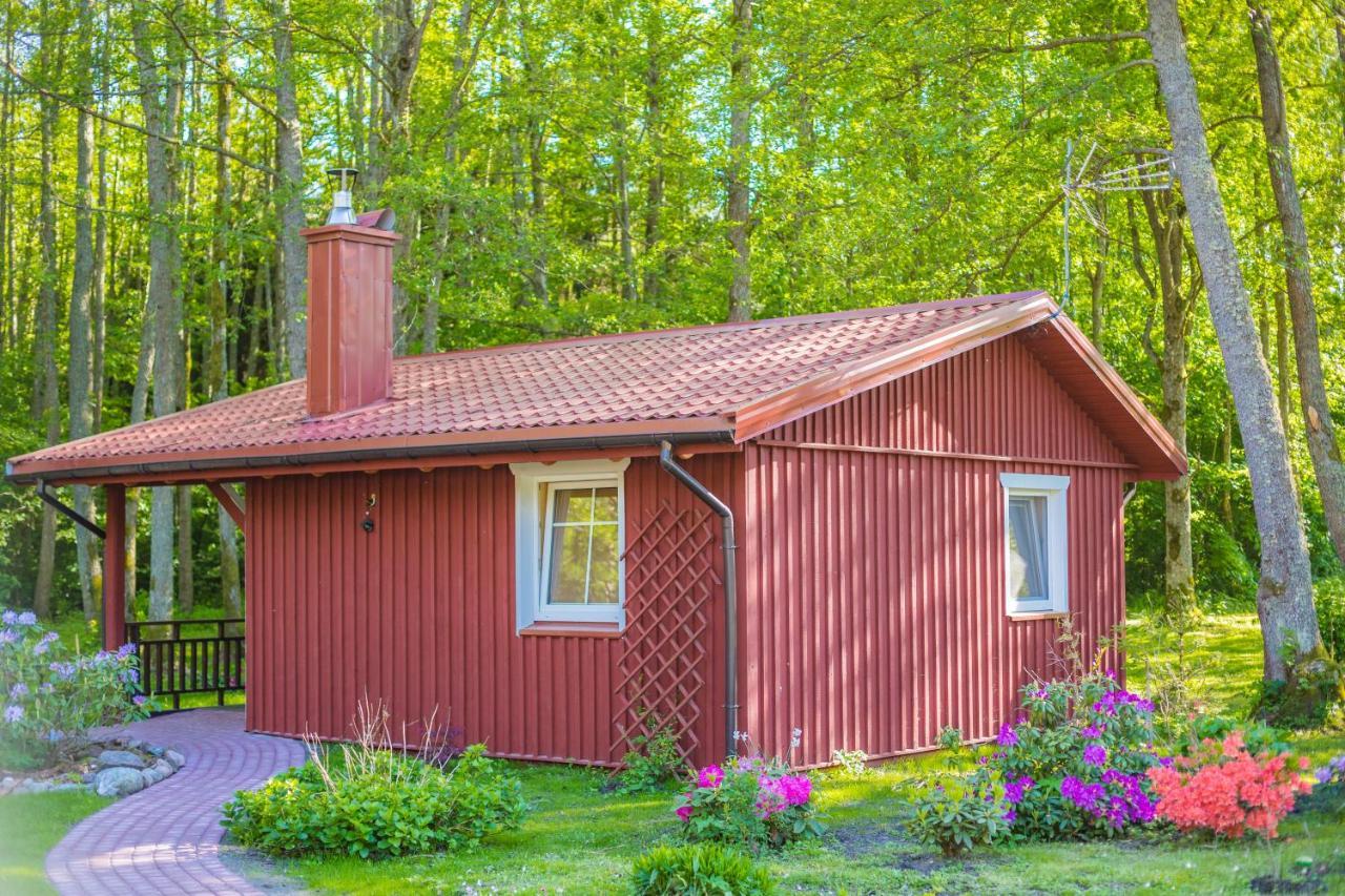 Namelis Nr 1 Adeles Sodyba Sturmai Luaran gambar