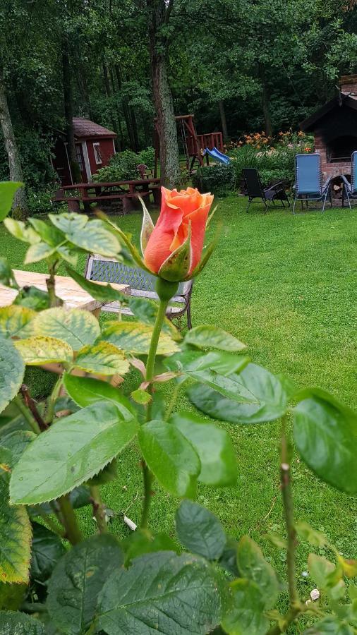 Namelis Nr 1 Adeles Sodyba Sturmai Luaran gambar