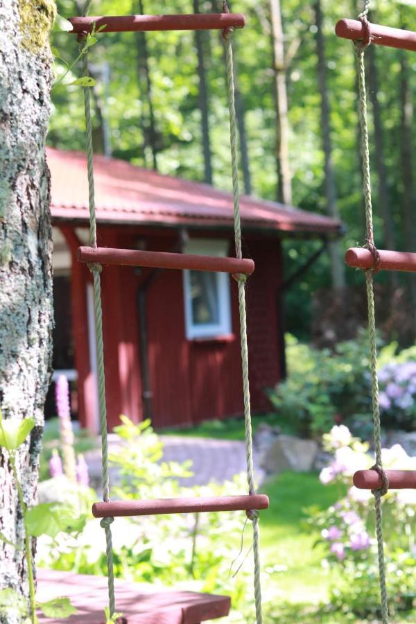 Namelis Nr 1 Adeles Sodyba Sturmai Luaran gambar