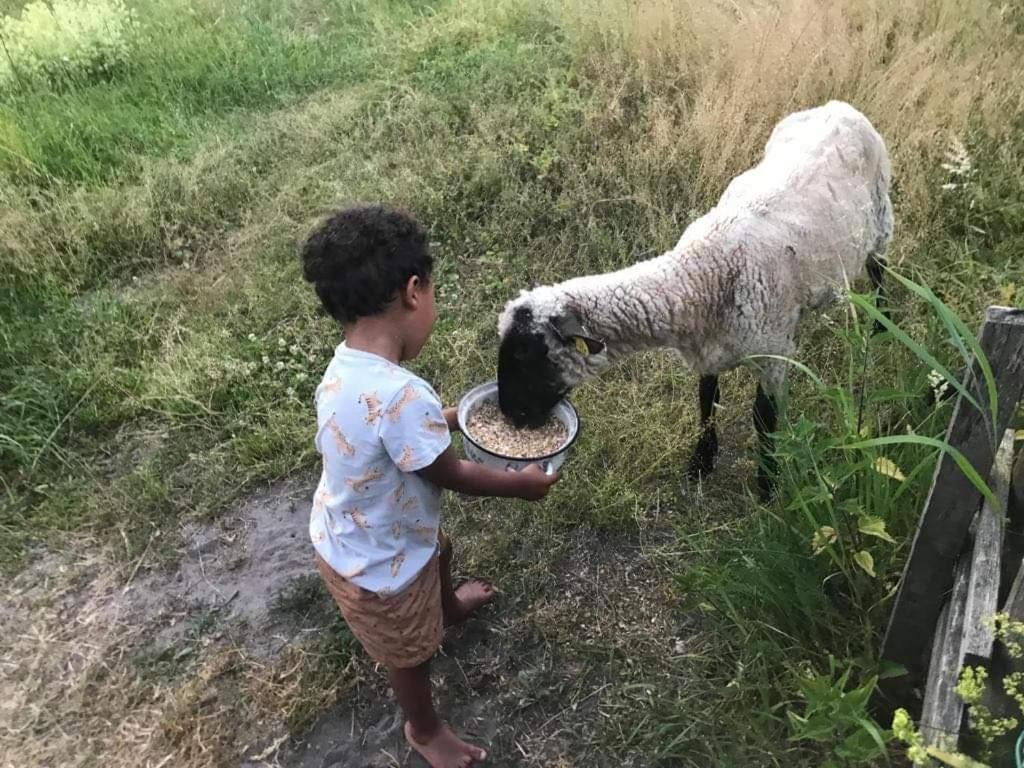 Namelis Nr 1 Adeles Sodyba Sturmai Luaran gambar