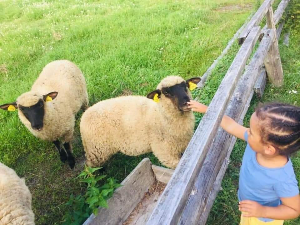 Namelis Nr 1 Adeles Sodyba Sturmai Luaran gambar