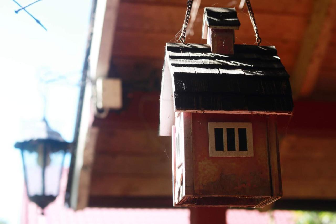 Namelis Nr 1 Adeles Sodyba Sturmai Luaran gambar